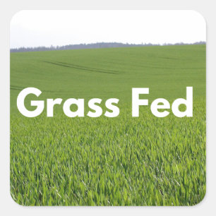 Adesivo Quadrado Grass Fed