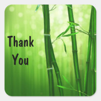 Green Bamboo e Bokeh Lights