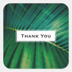 Adesivo Quadrado Green Leaf Palm Frond Tropical Natureza Obrigado