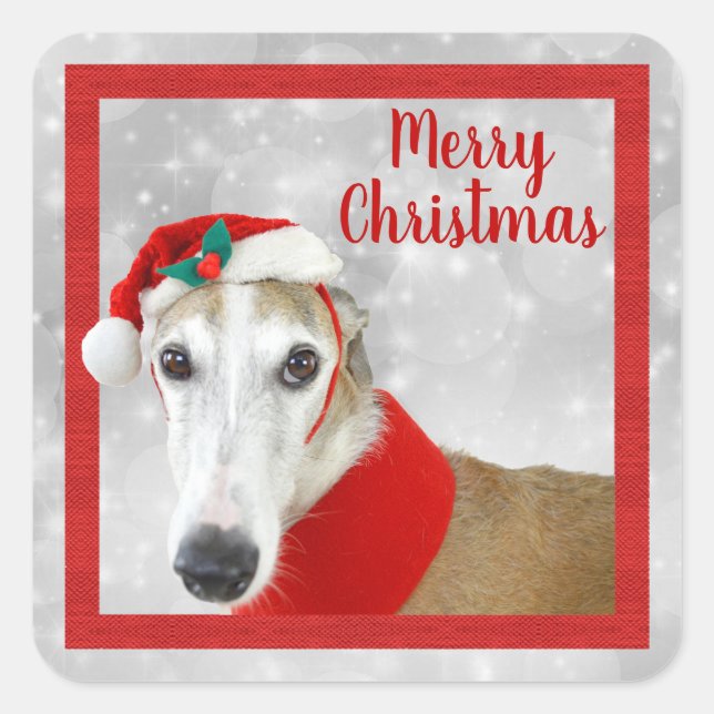 Adesivo Quadrado Greyhound Feliz Natal (Frente)