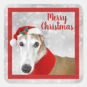 Adesivo Quadrado Greyhound Feliz Natal