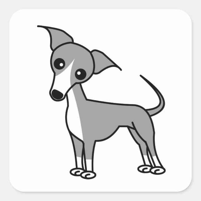 Adesivo Quadrado Greyhound italiano bonito - Cinzas (Frente)