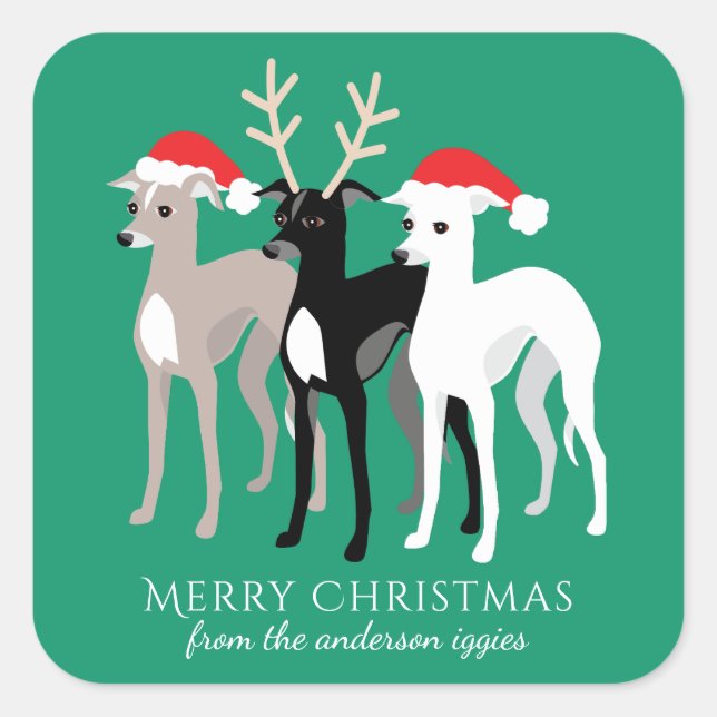 Adesivo Quadrado Grisa de Natal italiana Greyhound (Frente)