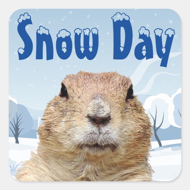 Adesivo Quadrado Groundhog Snow Day (Frente)