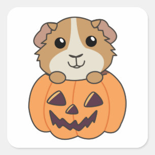 Adesivo Quadrado Guiné Pumpkin Doce Animais Feliz Halloween S