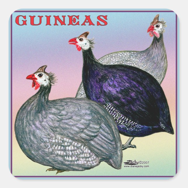 Adesivo Quadrado Guineas Three Fowl (Frente)