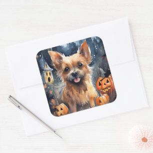 Adesivo Quadrado Halloween Australiano Terrier With Pumpkins Scary