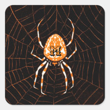 Halloween de Black Orange Black Spider personaliza