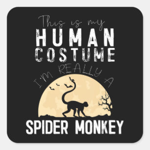 Adesivo Quadrado Halloween, Homem-Aranha-Macaco, Horror Assustador