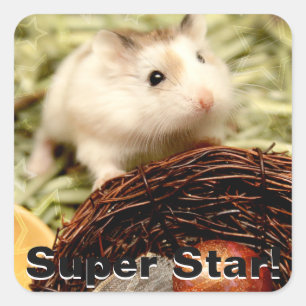 Adesivo Quadrado Hammyville - Hamster Bonito