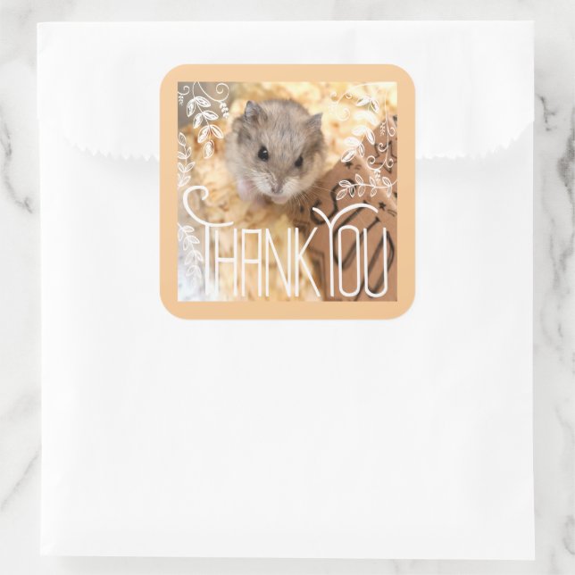 Adesivo Quadrado Hammyville - Hamster - Obrigado (Bolsa)