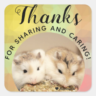 Adesivo Quadrado HammyVille - Obrigados de Hamster Bonitos Comparti