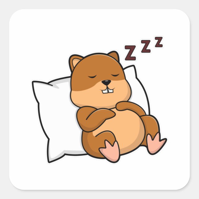 Adesivo Quadrado Hamster com Travesseiro (Frente)