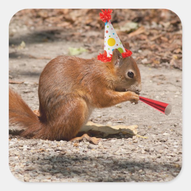 Adesivo Quadrado Happy Birthday Squirrel (Frente)