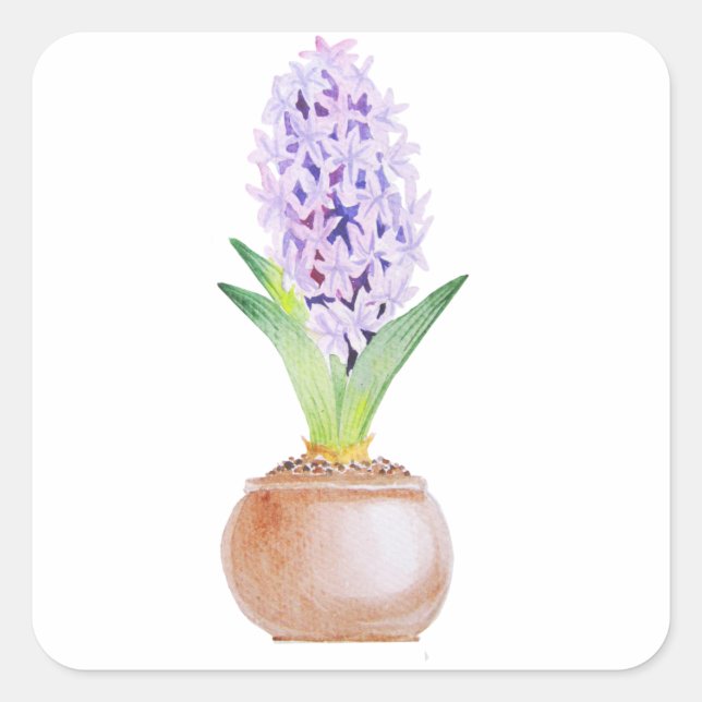 Adesivo Quadrado Happy Noroz Hyacinth (Frente)