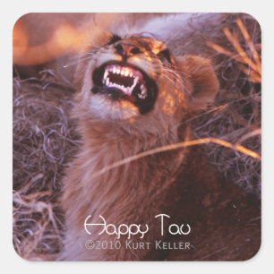 Adesivo Quadrado Happy Tau