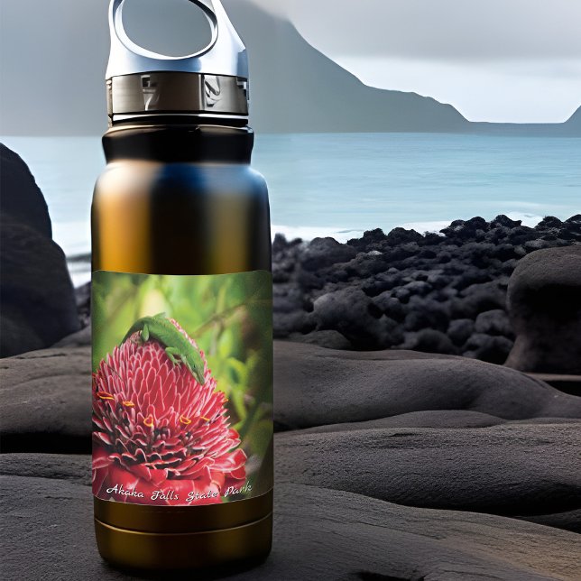 Adesivo Quadrado Hawaii Anole Lizard Red Tropical Flower Akaka Fall (Sticker of Hawaiian Anole Lizard)