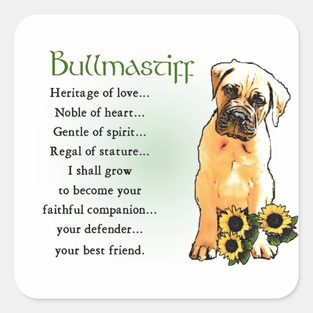 Adesivo Quadrado Herança Bullmastiff de Presentes de Amor (Frente)