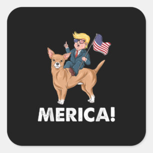 Adesivo Quadrado Herói Americano do Cão Chihuahua