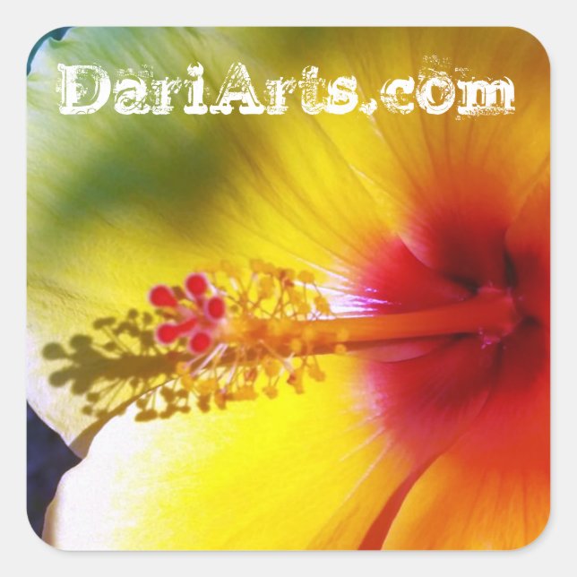 Adesivo Quadrado Hibiscus Amarelo: Adicionais de nome personalizado (Frente)