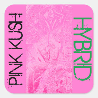 ADESIVO QUADRADO HÍBRIDO COR-DE-ROSA DE KUSH