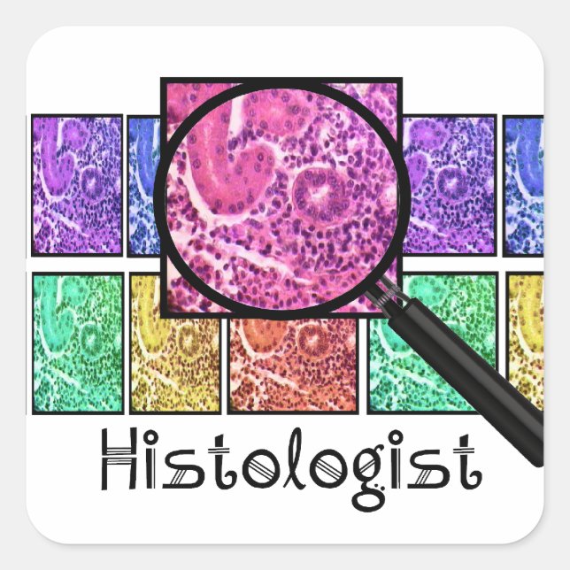 Adesivo Quadrado Histologista Oferece Design de Células Magnificada (Frente)