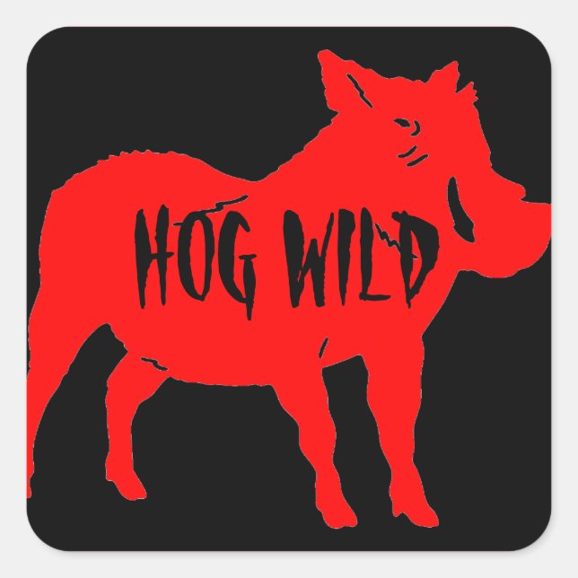 ADESIVO QUADRADO HOG WILD HELMET STICKERS PKG DE 20 (Frente)