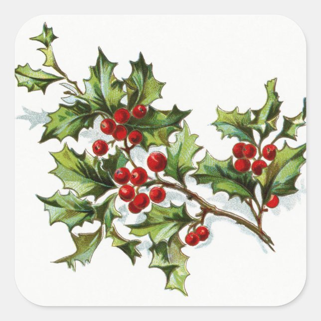 Adesivo Quadrado HollyBerries20150802 (Frente)