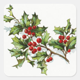 Adesivo Quadrado HollyBerries20150802