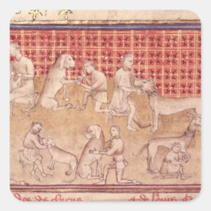 Adesivo Quadrado Homens que importam-se com cães de caça