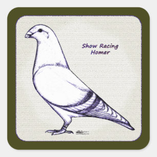 Adesivo Quadrado Homer Design