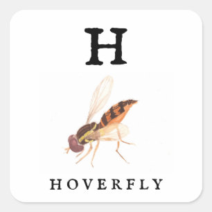 Adesivo Quadrado Hoverfly 