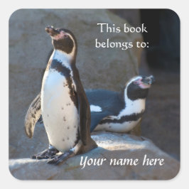Adesivo Quadrado Humboldt Penguins "Este livro pertence a" Sticker