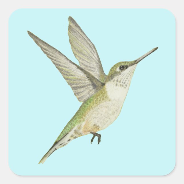 Adesivo Quadrado Hummingbird (Frente)