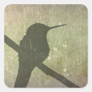 Adesivo Quadrado Hummingbird