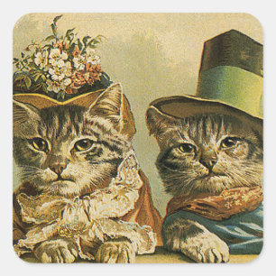 Adesivo Quadrado Humor do vintage, gatos do noivo da noiva do