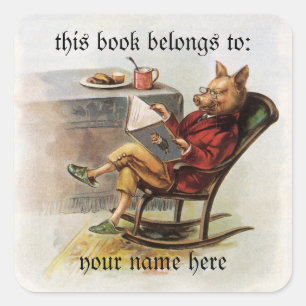 Adesivo Quadrado Humor do vintage, porco que lê um Bookplate do