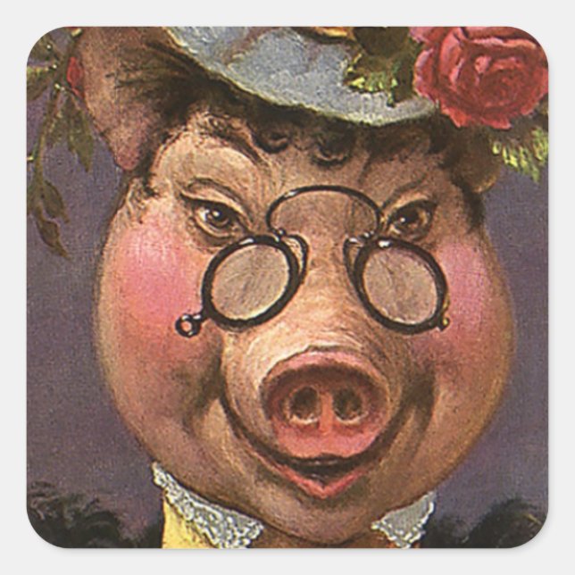 Adesivo Quadrado Humor vítreo, Bobo e doce vitoriano Lady Pig (Frente)