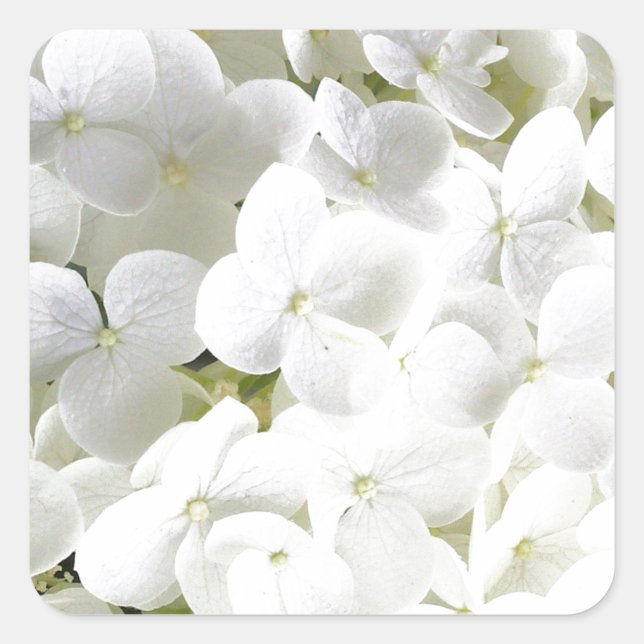 Adesivo Quadrado Hydrangea White Floral (Frente)