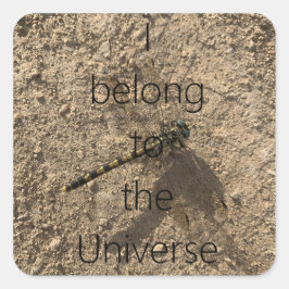 Adesivo Quadrado I belong to the Universe - Sticker
