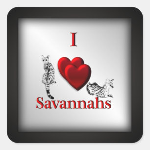 Adesivo Quadrado I Heart Savannah Cat Silver