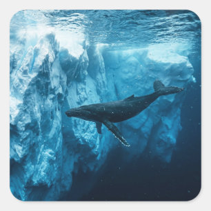 Adesivo Quadrado Iceberg submarino e uma baleia-jubarte