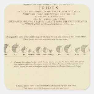 Adesivo Quadrado Idiota, litografia estatística 1870 dos E.U.