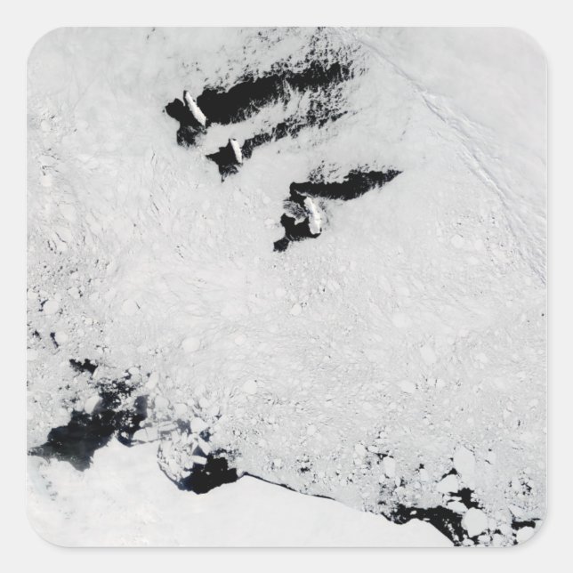 Adesivo Quadrado Ilhas Balleny, perto da Antártica (Frente)