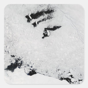 Adesivo Quadrado Ilhas Balleny, perto da Antártica