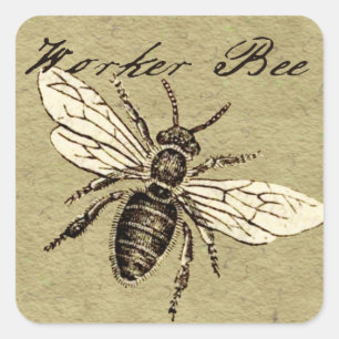 Adesivo Quadrado Ilustração Antiga de Abelha Operária em Estilo Ant