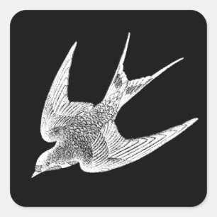Adesivo Quadrado Ilustração da andorinha do vintage - pássaro