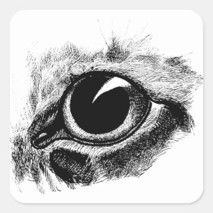 Adesivo Quadrado Ilustração de Arte Animal de Desenho Olho
