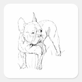Adesivo Quadrado Ilustração de Cachorro Desenhada à Mão do Bulldog 