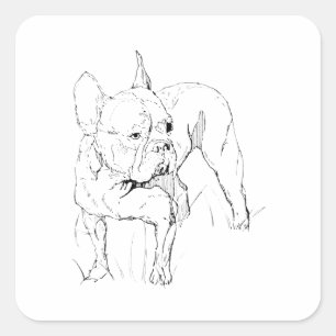 Adesivo Quadrado Ilustração de Cachorro Desenhada à Mão do Bulldog 